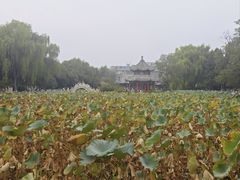 -莲池书院博物馆