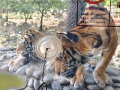 -栾川竹海野生动物园