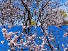 -三里河公园