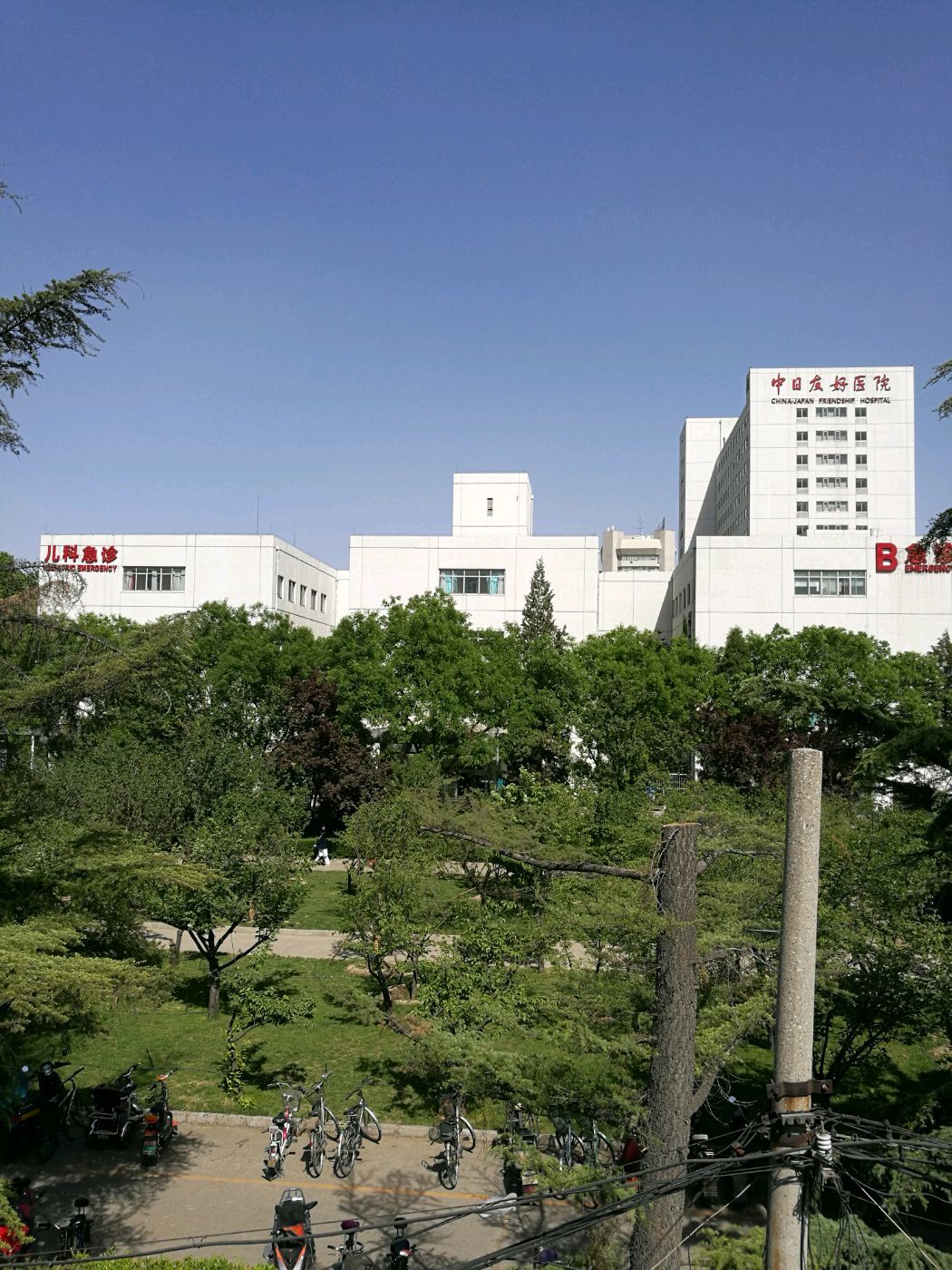 中日友好医院、延庆区号贩子代挂号的简单介绍