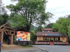 -大余丫山旅游度假区