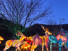 -大连森林动物园