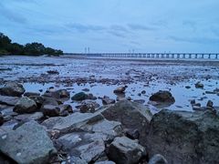 -宝安西湾红树林湿地公园