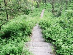 -南京老山国家森林公园