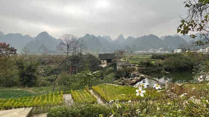 上纳灰村-"姐在贵州,姐在兴义,姐在万峰林,姐在纳灰."-大众点评移动版