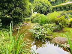-中国茶叶博物馆(双峰馆区)