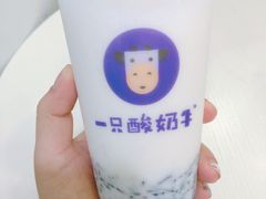 -一只酸奶牛(八一路店)