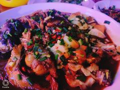 -全乐鱼馆·淳牌有机鱼直营店