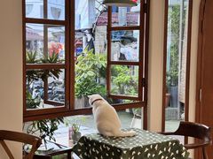 -有猫主题·治愈系猫咖(曾厝垵店)