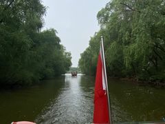 -大湾区中央湿地公园