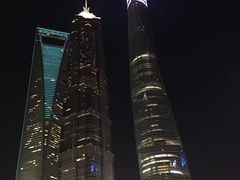 -上海柏悦酒店