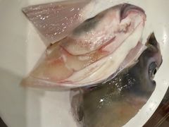 -正能量脆肉鲩火锅
