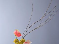 -巴黎贝甜(凯德MALL望京店)