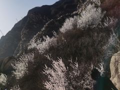 -北京凤凰岭