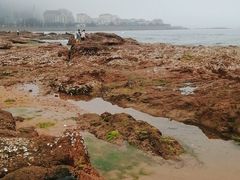 -青岛第三海水浴场