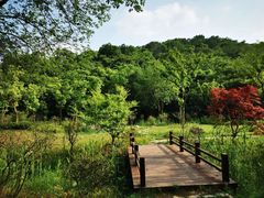 -镇江市南山风景名胜区竹林景区