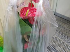 -双季花艺园艺市场(浦东店)