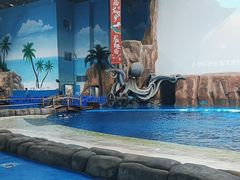 -华夏文旅海洋公园