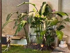 -J Create城市露营咖啡·简餐·宠物(上海动物园店)