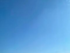 -七菜馆·东北菜·蒸饺(文体路店)