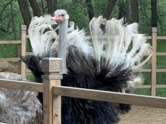 -秦皇岛野生动物园