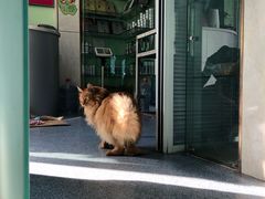 -天津前进宠物医院(前进道店)