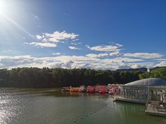 -大兴滨河森林公园