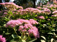 -滨河世纪广场公园