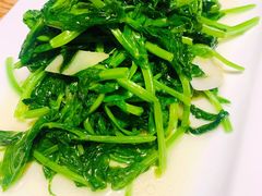 清炒豆尖-云之南(八里庄店)