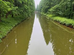 -黄海国家森林公园