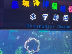 -泉城欧乐堡海洋极地世界