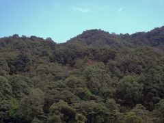 -广州市石门国家森林公园