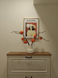 -FUMEIHUI·科技美肤·美体SPA