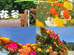 -名花谷生态庄园