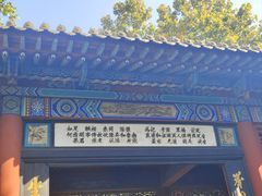 -大槐树寻根祭祖园