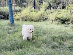 -北京恒爱动物医院(清景园分院)