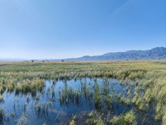 -野鸭湖国家湿地公园