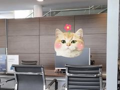 -北京鹏龙瑞星奔驰4s店(来广营店)