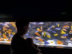 -石家庄极地海洋世界