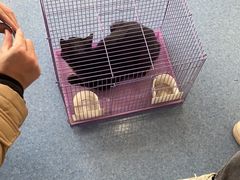 -佑安动物医院·全科·内窥镜中心(幸福巷店)