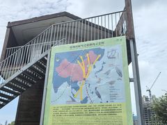 -华侨城湿地公园