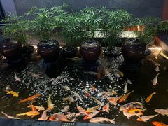 -珠海棕泉水疗酒店(拱北口岸高铁站店)