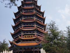 -铁山坪森林公园