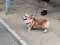 -雍和宫(地铁站)