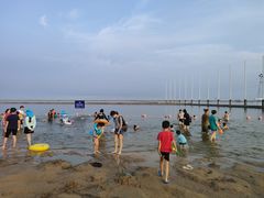 -碧海金沙