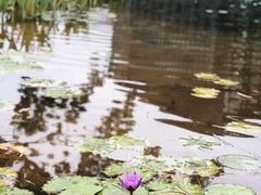 -星巴克(深圳前海企业公馆店)