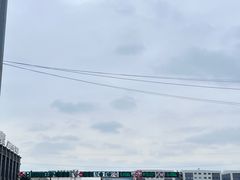 -海吉星市场