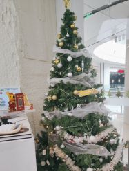 点击看大图 -慕名造型