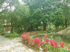 -揭东万竹园旅游景区