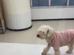 -共舞时光猫咖·狗咖(新街口店)